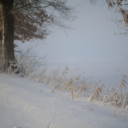 Steuerung-Pult Bühne mieten
