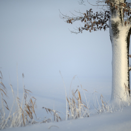 Steuerung-Pult Bühne mieten