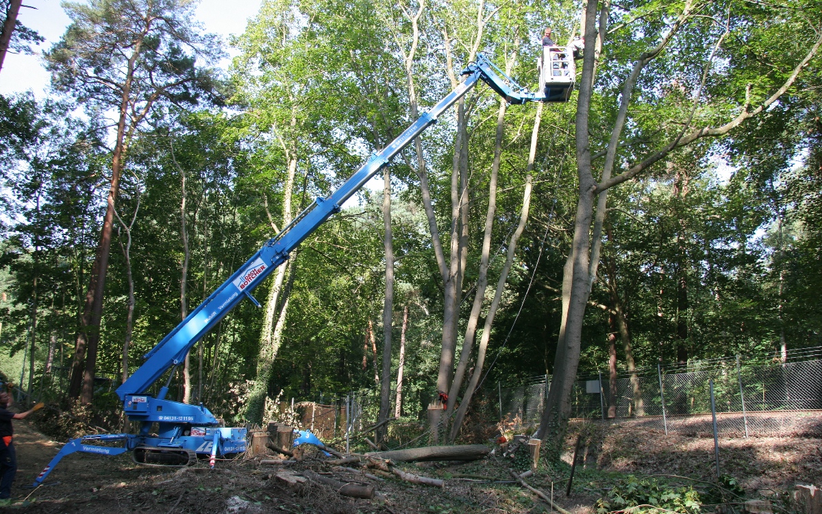 Kettenarbeitsbuehne-Baumschnitt - Bild Hubbühne mit DACH BÖTTCHER Logo
